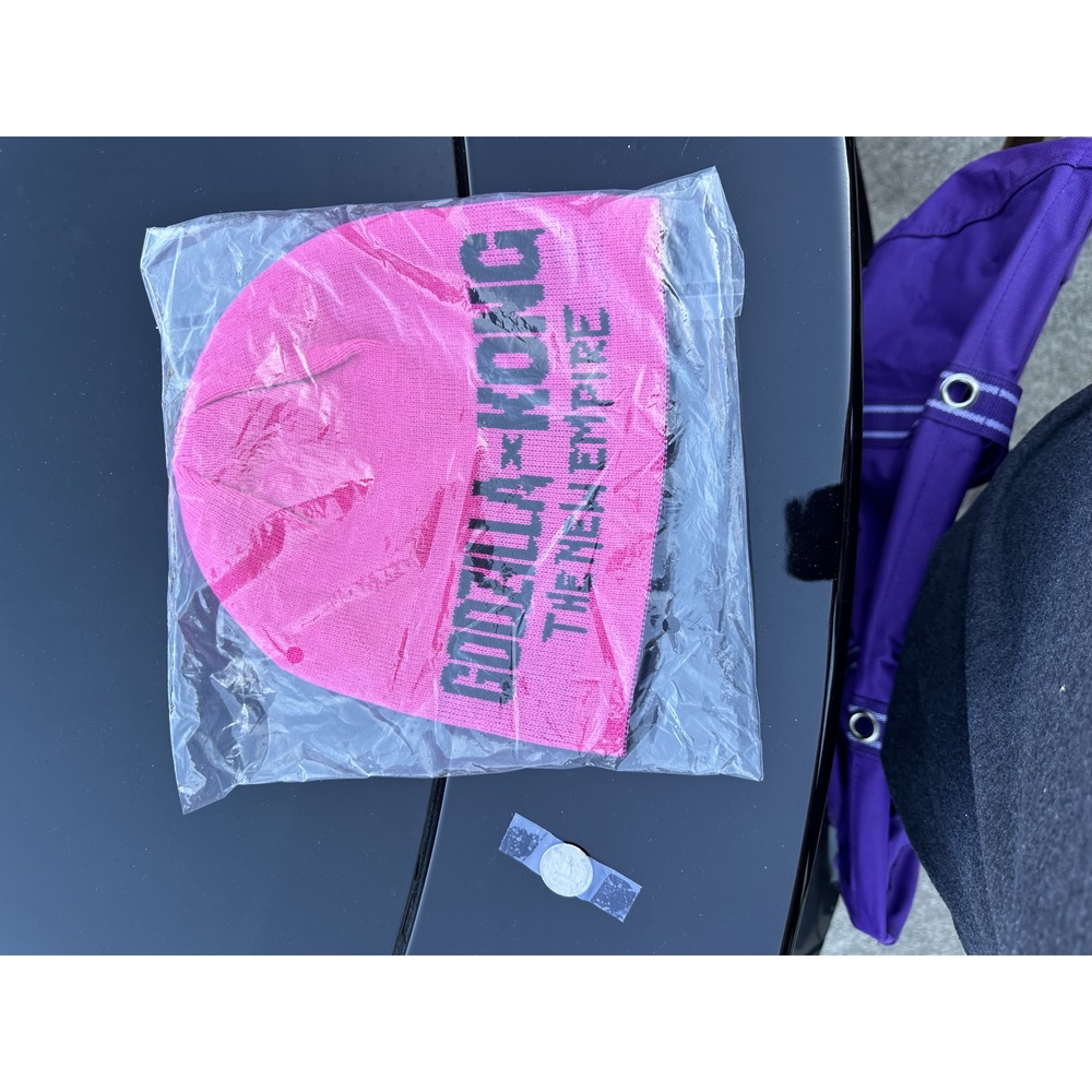 $25 MSRP! Godzilla vs. Kong Pink Beanie, Monsterverse, Collector